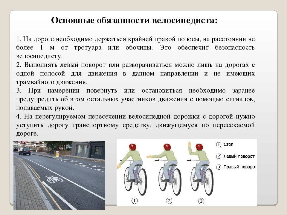 Обязанности велосипедиста: все о правилах дорожного движения