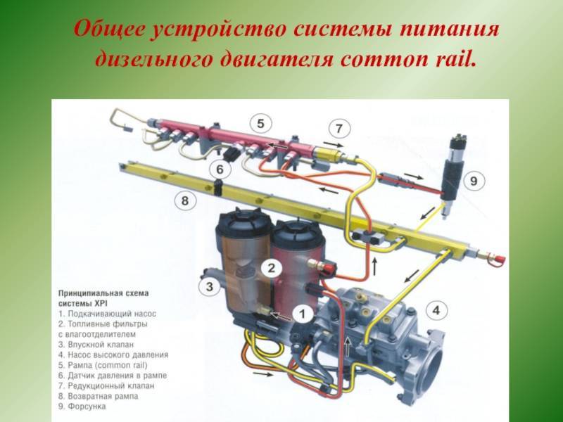 Устройство системы питания дизельного. Система питания топливом дизельного двигателя. Устройство системы питания дизельного двигателя. Устройство системы питания дизельного ДВС. Топливная система КАМАЗ евро 4 common Rail.