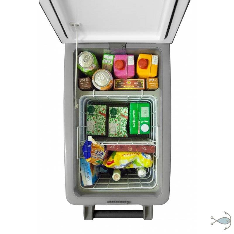 Как выбрать автохолодильник в 2019 году? 5 типов устройств
