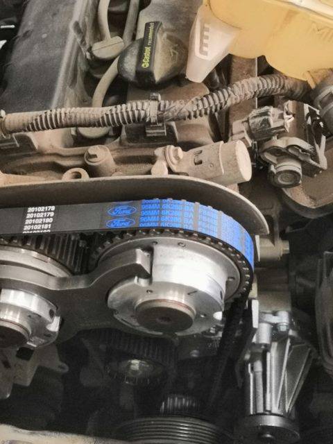 Замена ремня грм форд фокус 2 | 1.6 бензин (fordhelp)