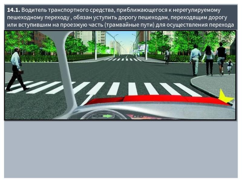 Как правильно пропускать пешеходов на пешеходном переходе в 2021 году